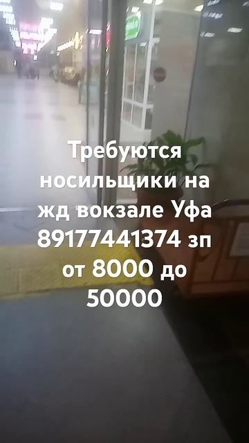 20 октября 2024 г.