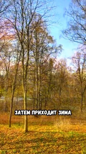 Энергия дня: раскрываем секреты феншуй для достижения
