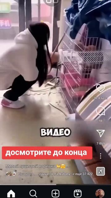 ХихиЧпок Юмор