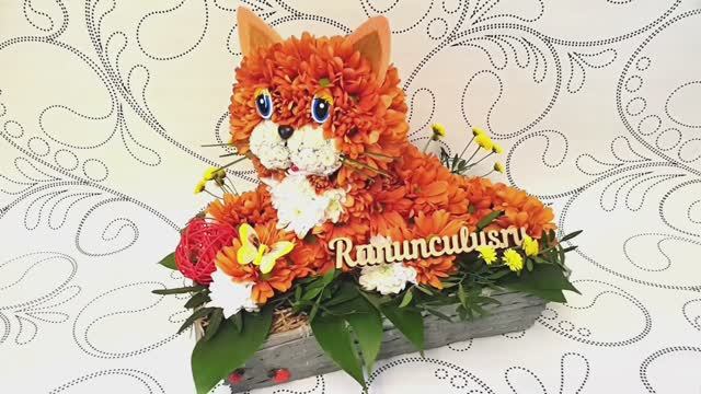 Кот из живых цветов
