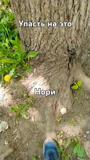 в конце кусок от арматуры если не видно