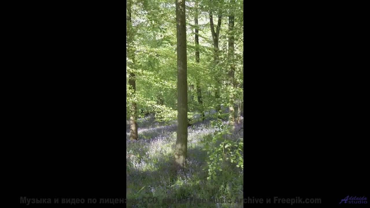 Это видео - как глоток чистого воздуха и энергии! - The Sadness of a Slinky Dog -- A Tape Full of Mi