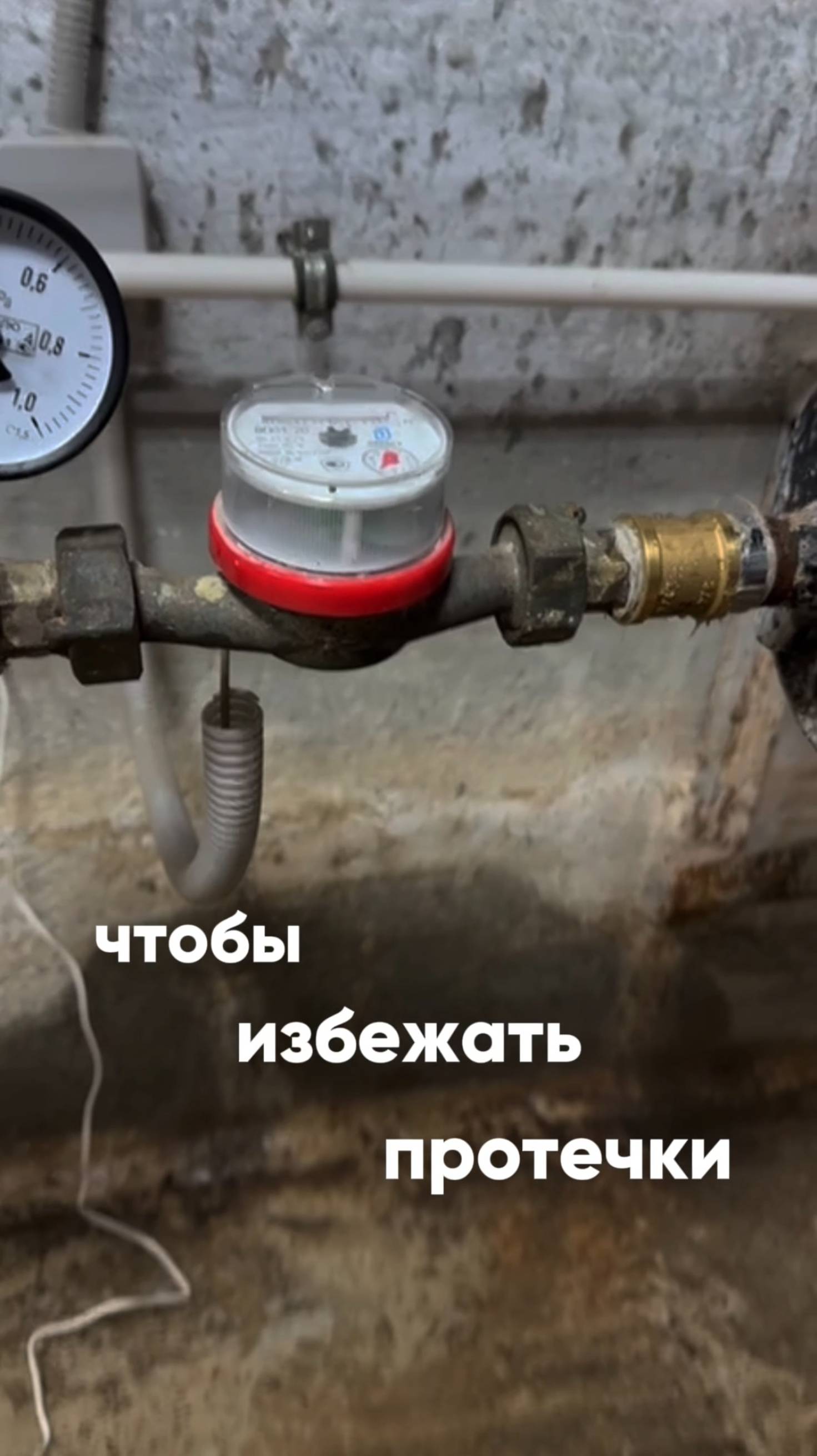 Защита от протечек — важный сценарий автоматизации. Он уже спас офис @webest от потопа!