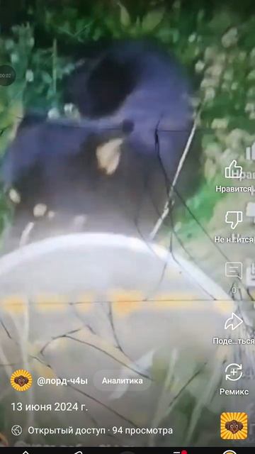 1000029604.mp4