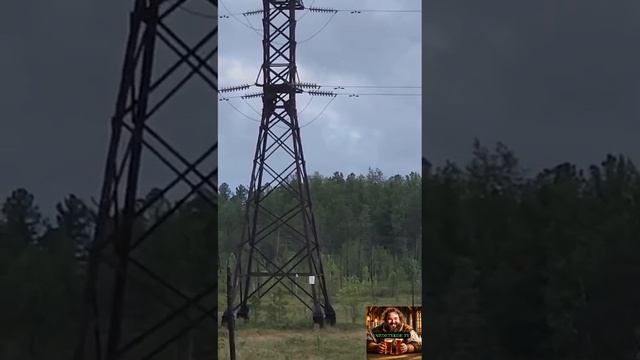 Электрик 80го уровня