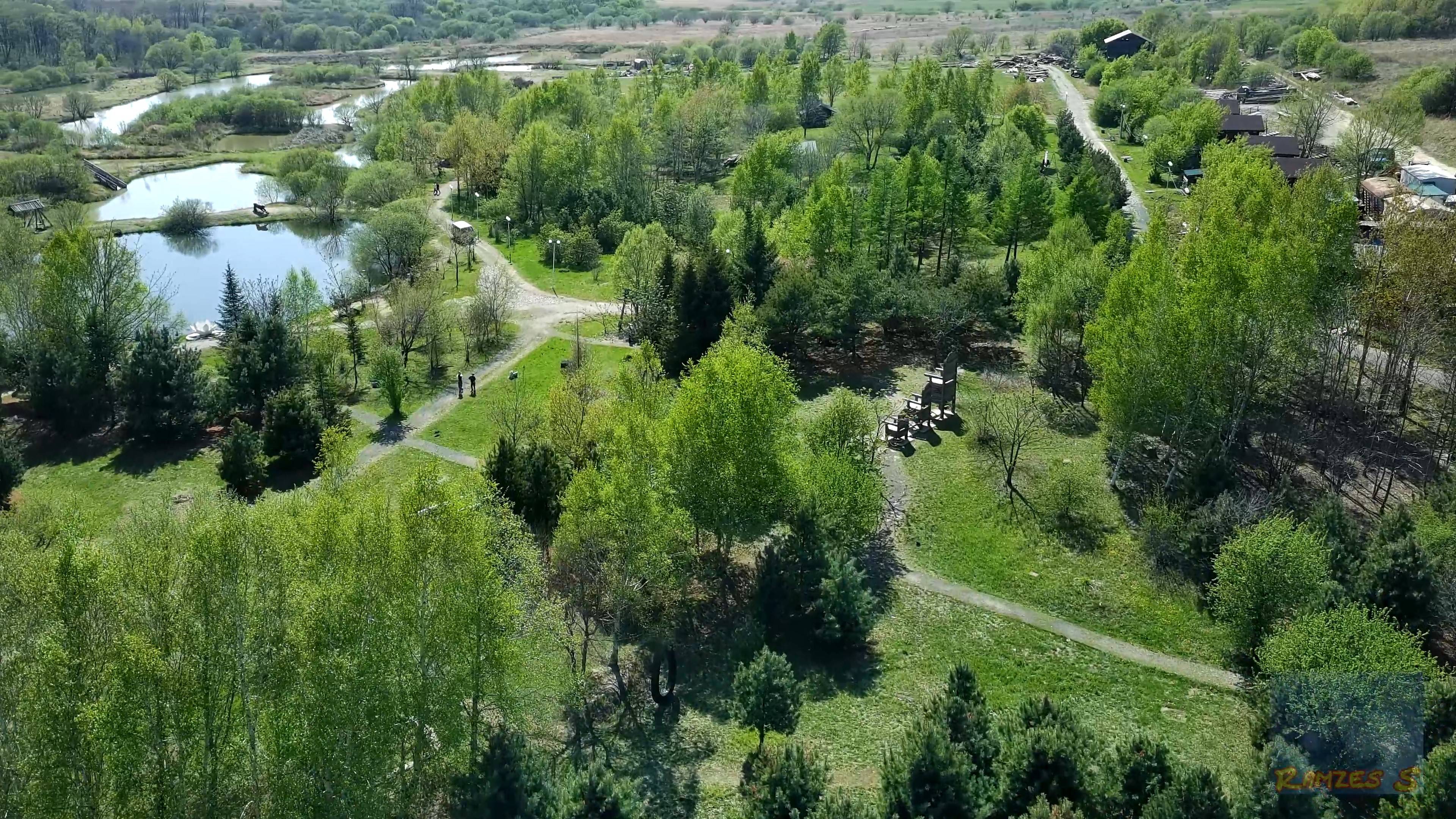Свежесть зелени