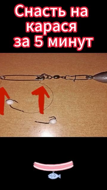 Снасть на карася за 5 минут