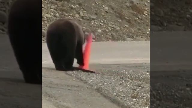 Во всем должен быть порядок