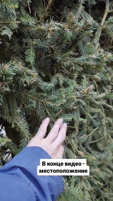 Крутое место в Москве