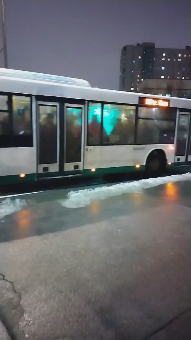 Автобус поехал, окраина Петербурга, 18 декабря 2023.