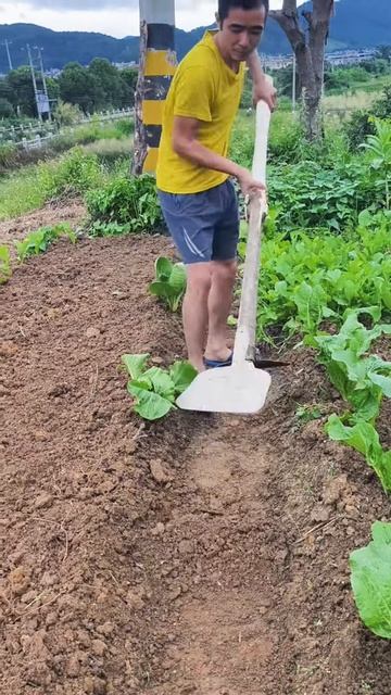 This is a multi-purpose hoe #shorts