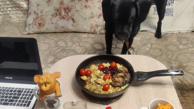 Курица 🐔 Жареная 🐔 Моя Жизнь Кино @ Музей Псов