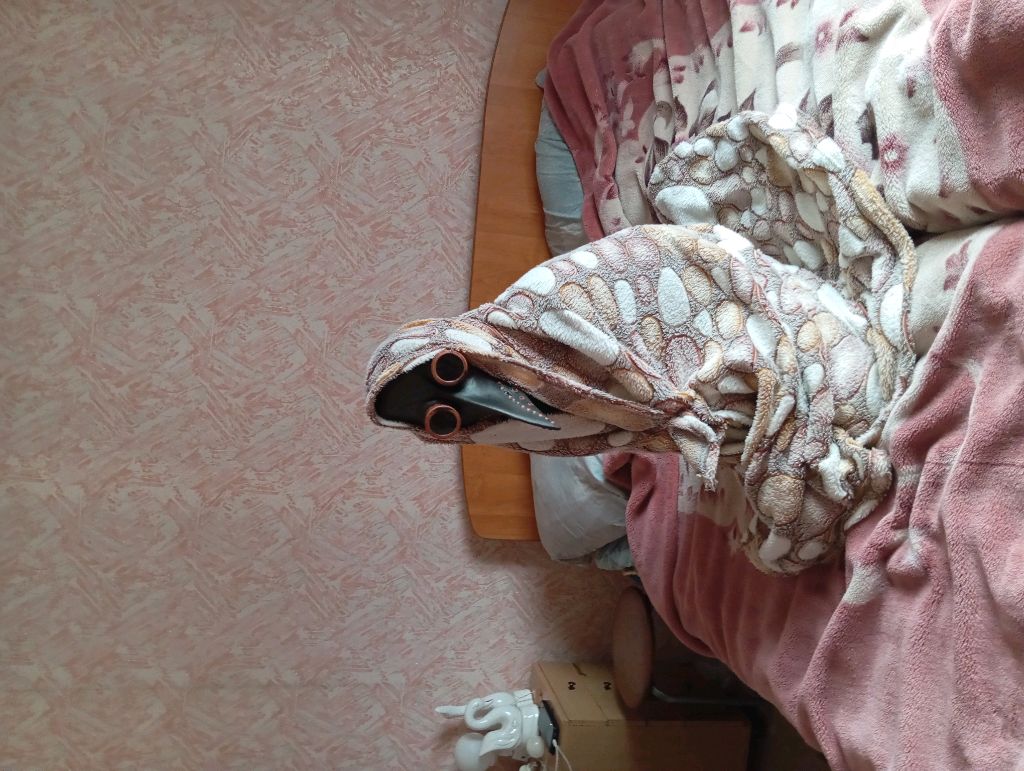 делаю уроки