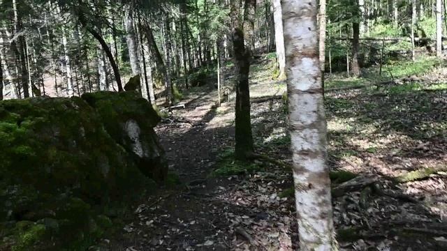 Водопады на реке Азиш (Бзыха), Хамышки, Адыгея. 22.04.2025 год.