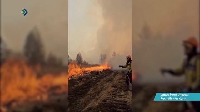 Минприроды Коми опубликовало видео о работе наших лесных пожарных в Забайкалье