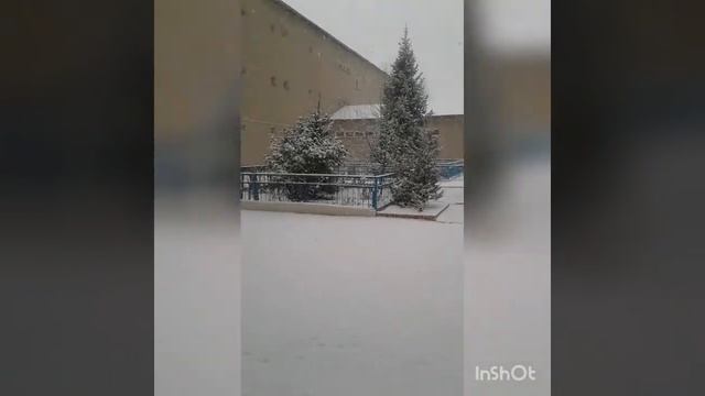 У нас снег! У нас сегодня снег!
