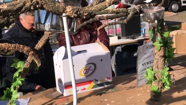 Птичий рынок в Португалии.  (2)
