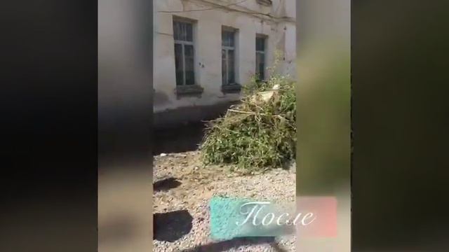 Акция "Чистый район".