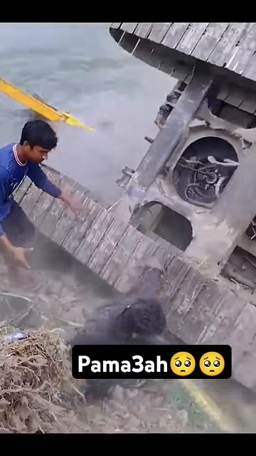 #automobile #makine #excavator #ismakinasi #excvator #jcb  #funny #funny #macine #masine #öneçıkar