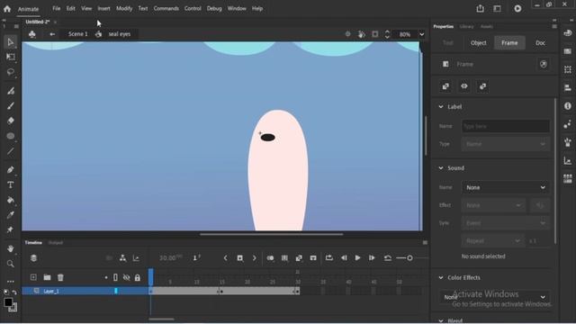 16. Swimming Seal