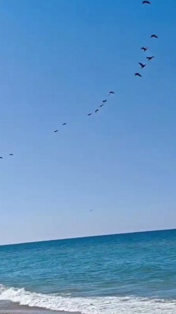 Море сегодня