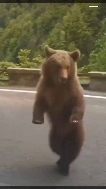 Эй, кожанный! Есть давай! Давай, говорю! Налог плати, говорю! Ух, жмотяра!🤣🤣🤣