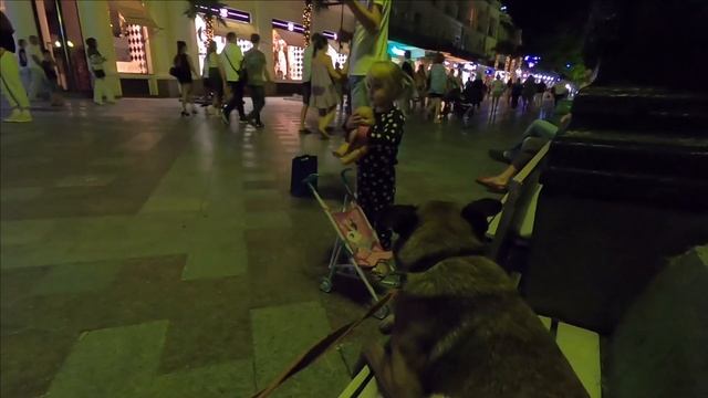 Собака на курорте. Романтический вечер на набережной Ялты / Жизнь в Ялте