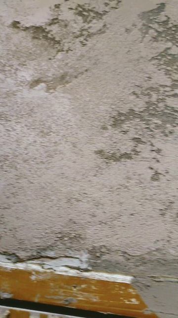 Штукатурка "карта мира" с шелком. Decorative plaster "world map" with sil