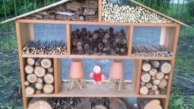 Отель для насекомых