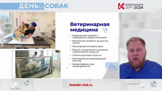 Профилактика нарушения поведения у собак при групповом содержании