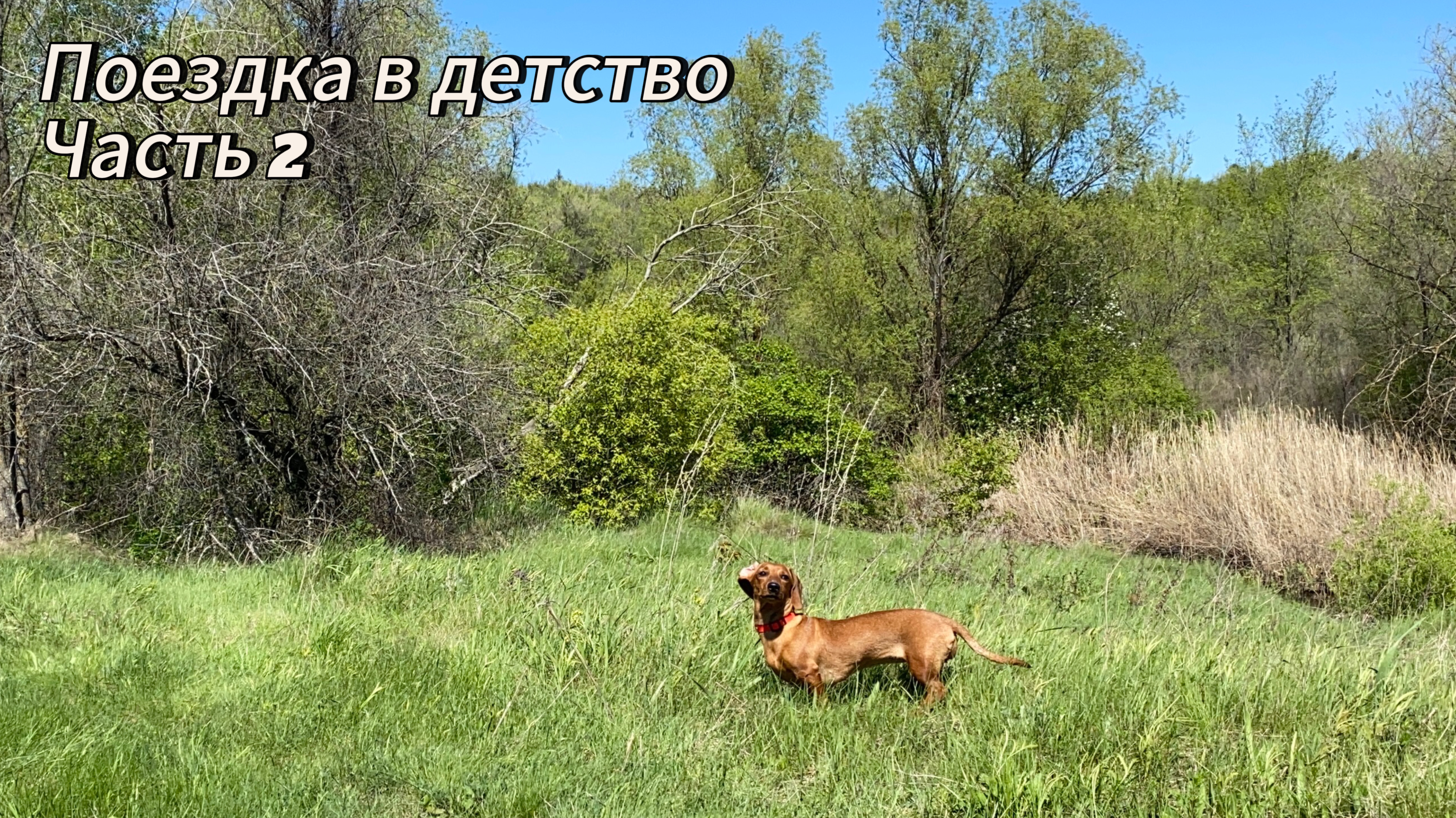 Поездка в детство. Часть два : на горе