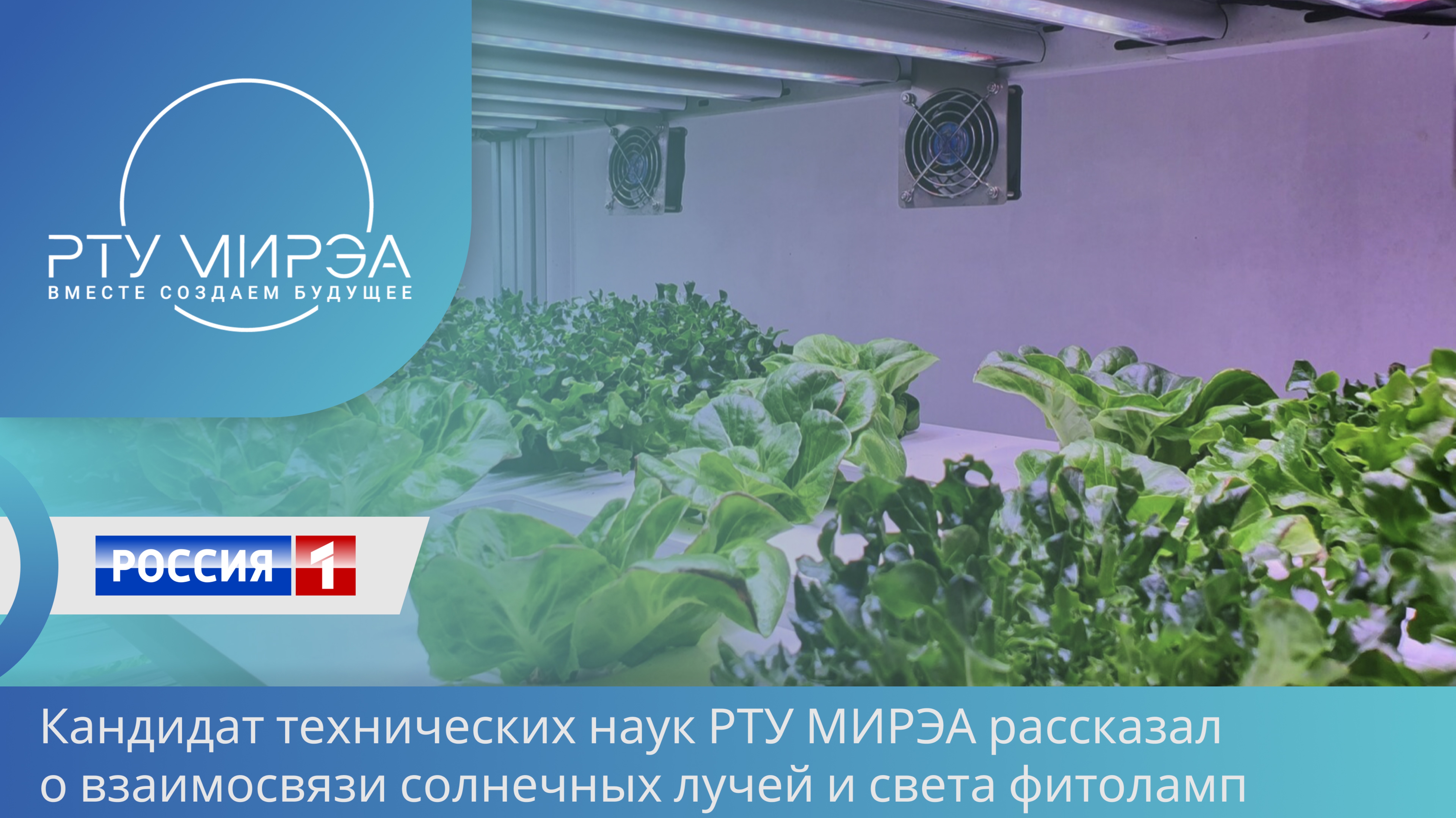 🌱💡Фитолампы: урожай на подоконнике и мифы о «розовом свете»
