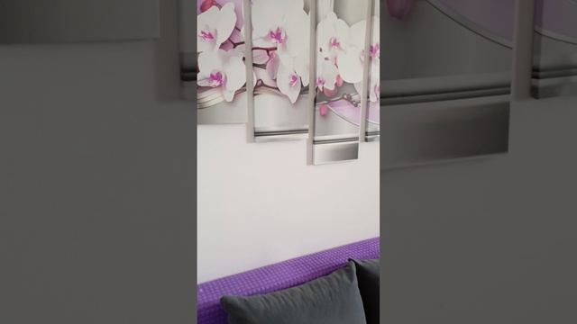 1002136378.mp4