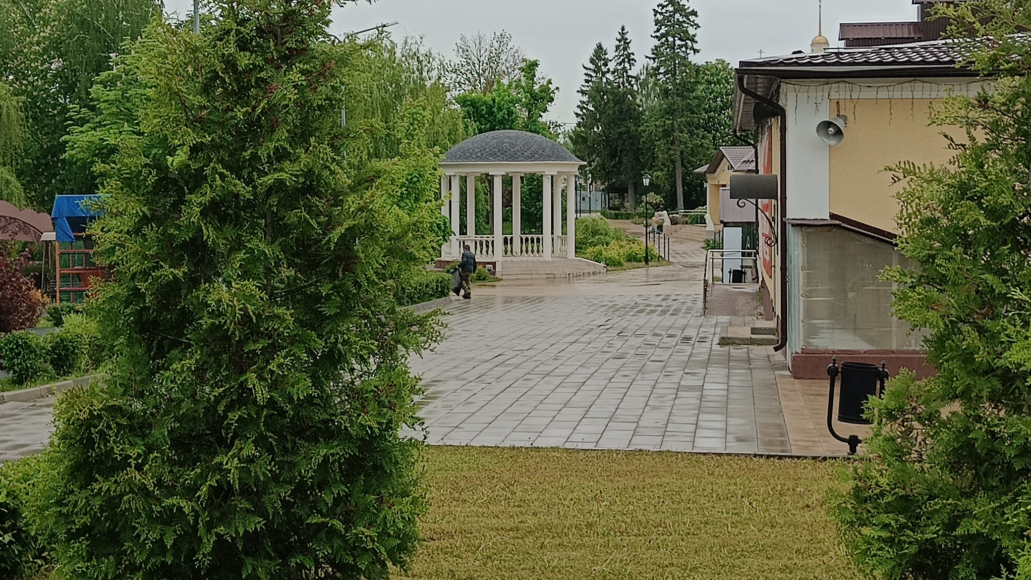 Еще немного хмурого парка.