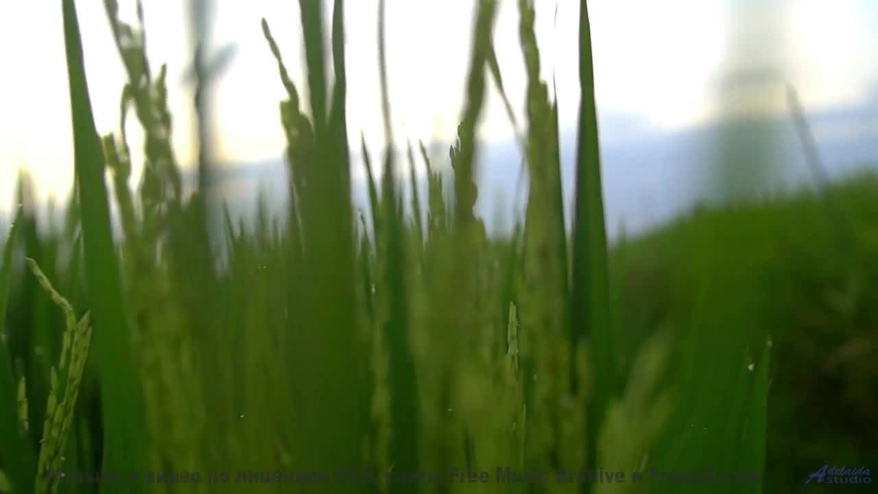 Включите этот трек - и пусть мир станет вашим романом! - Better World -- Ketsa -- Abundance