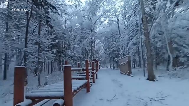 Спортивный городок в парке Гагарина. Южно-Сахалинск. Зимнее видео.mp4