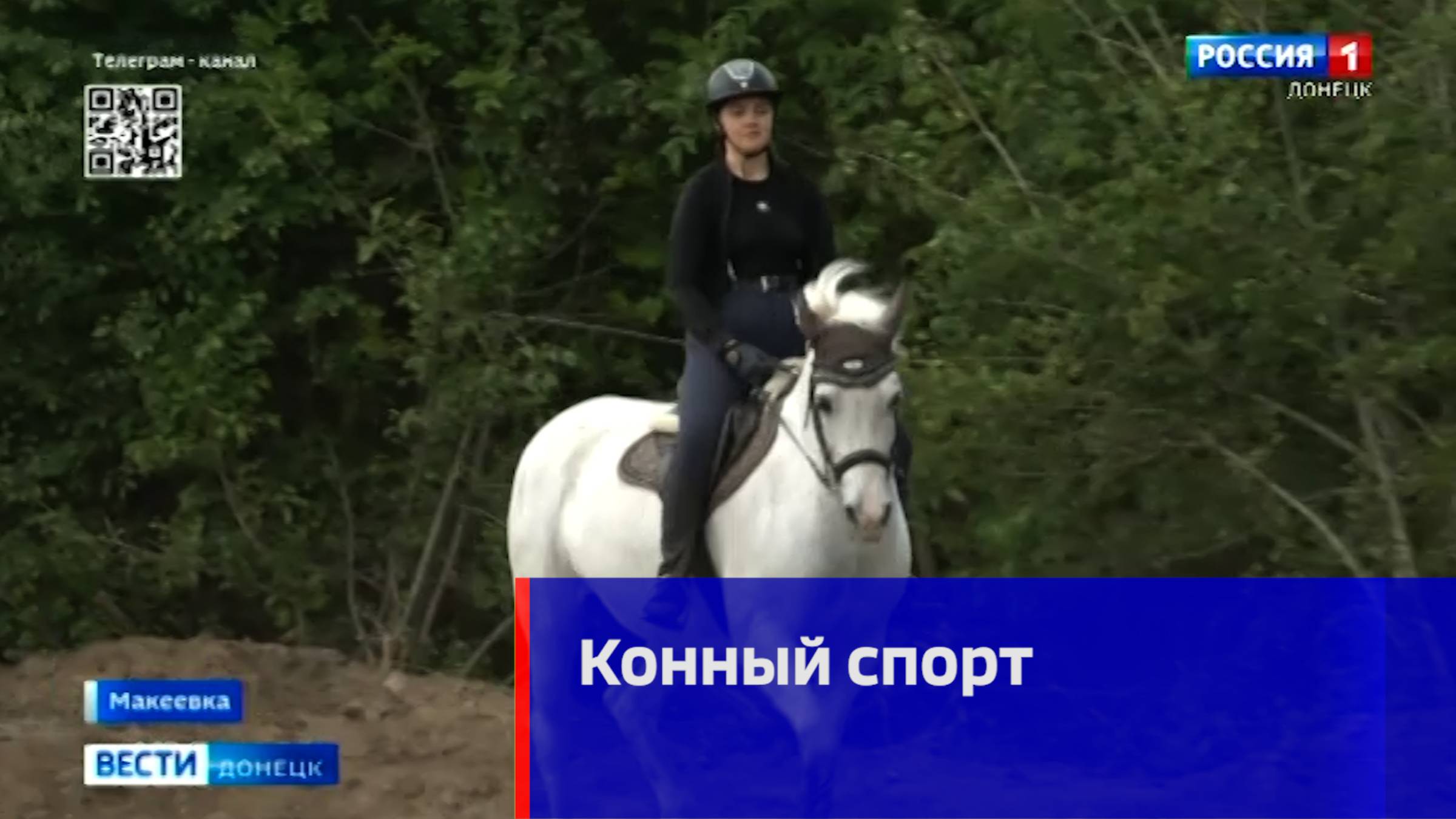 В Макеевском конном клубе «Локомотив» появились два новых коня