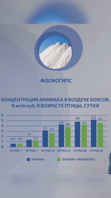 Зачем фосфогипс в подстилке птичника?