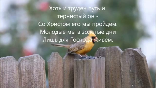 Юность светлая # христианская песня