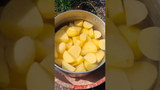 Люля-кебаб из картошки!.mp4