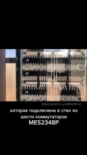 Коммутаторы доступа MES2424P, MES2308R Eltex. Видео[Охота] на eltexcm.ru