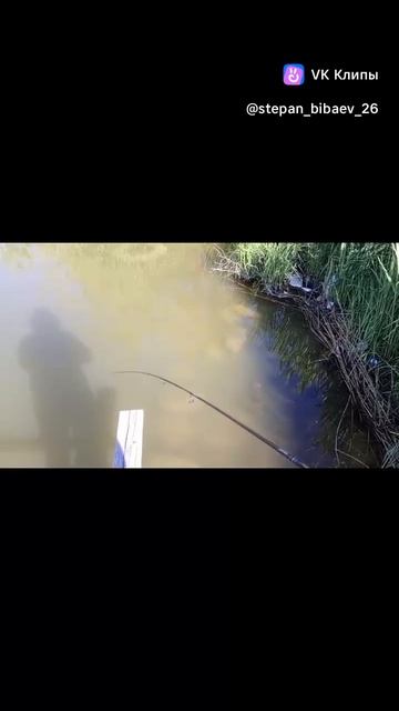 #мормышинг #ловляокунянаспиннинг # primfish126