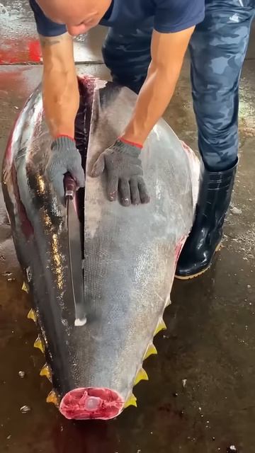 The process of cutting tuna fish #shorts