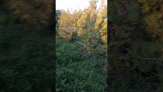 1000053142.mp4