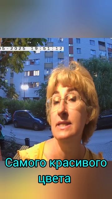 Волгоградские закаты. Красотища. 
Лето, какого ты цвета? Самого, красивого цвета. Умный домофон. mp4