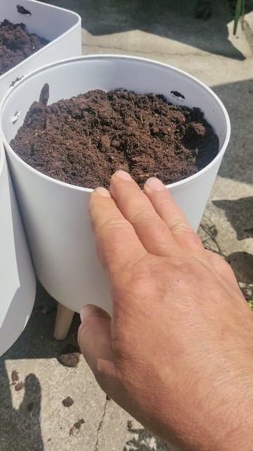 Ганс активно помогает...