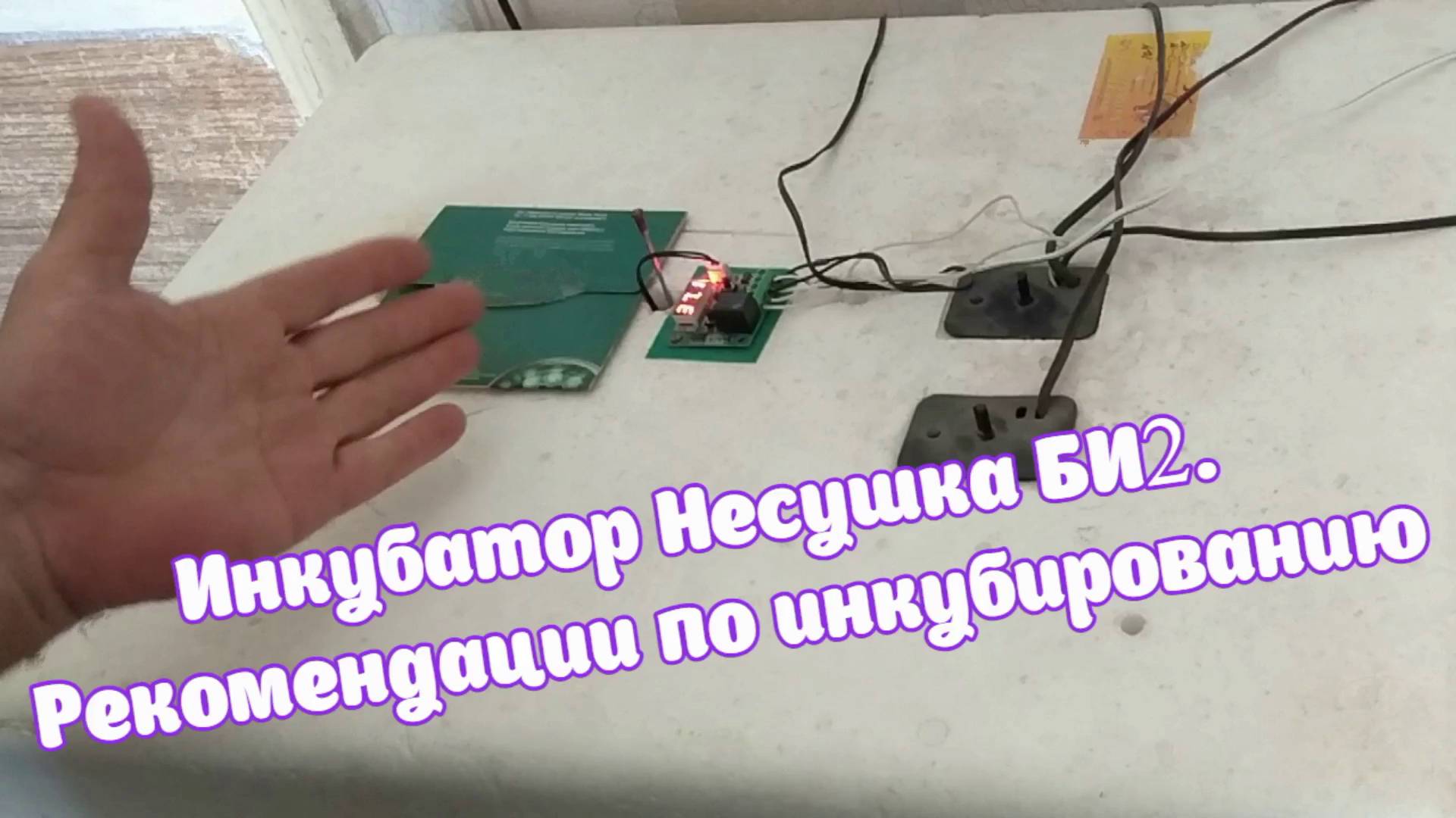 Инкубатор Несушка Би 2. Рекомендации по инкубированию.
