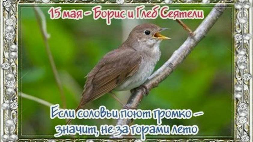 Приметы на 15 мая: что нужно сделать в Барыш-день, чтобы не остаться на мели