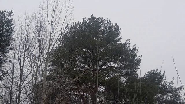 🏡ХОРОШО В ДЕРЕВНЕ 🏡