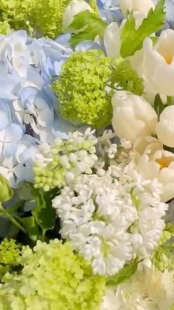 Роскошный букет Гортензий #гортензия #flowers #garden #гортен